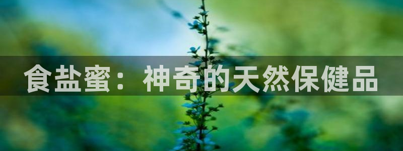 威九国际发布新版eBzxin2Tp