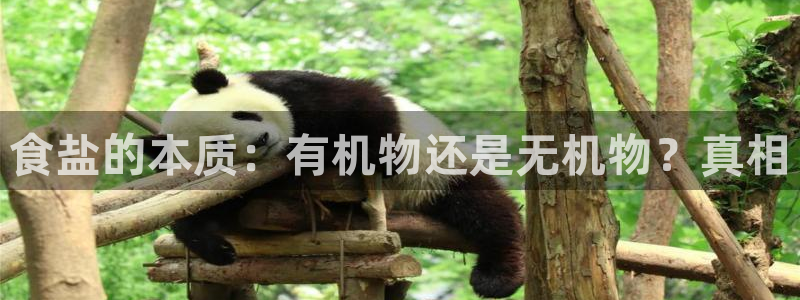 威九国际能提现吗现在