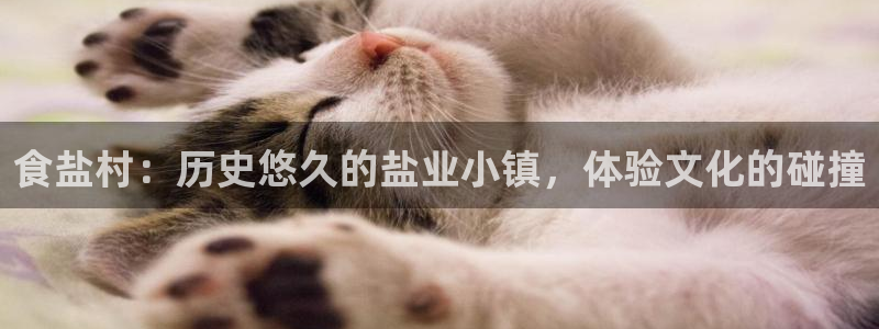 威九国际入囗