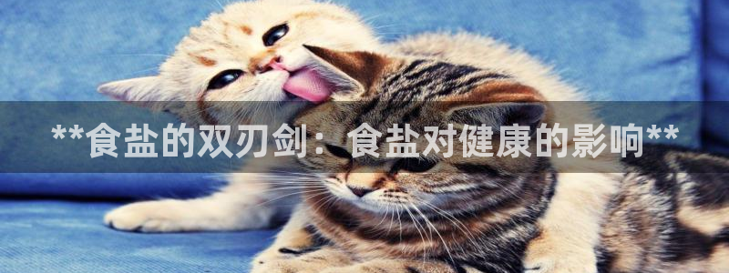 威九国际游戏app网址