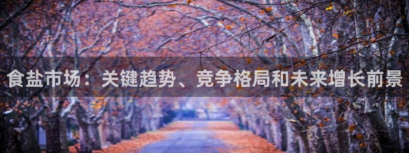 威九国际的网站入口在哪里