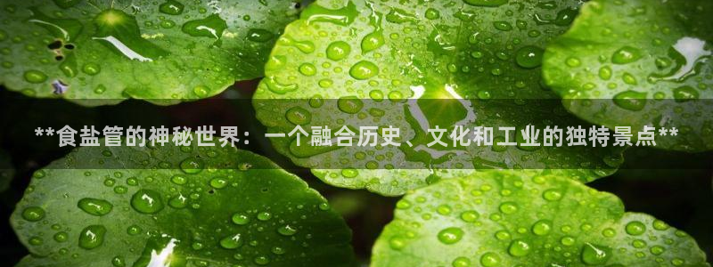 威九国际惠子