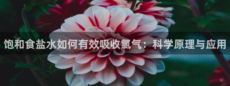威九国际78mann