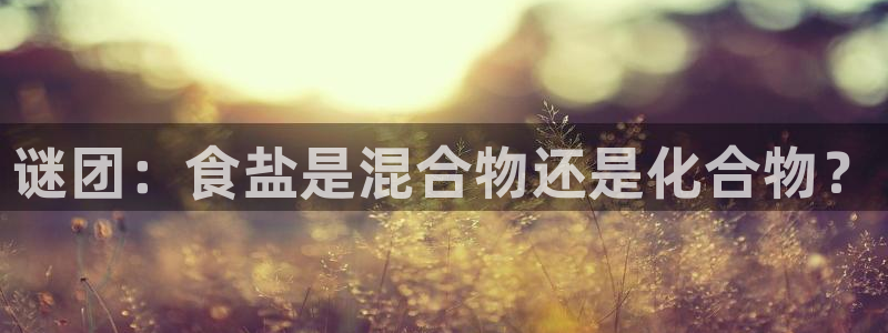 威九国际游戏入口