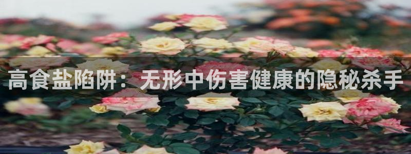 威九国际78mb官网