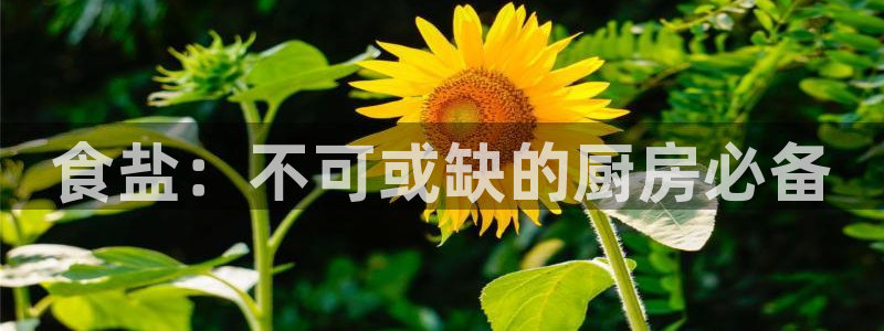 威九国际成长模式怎么样