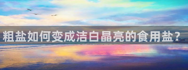 威九国际视频传媒招聘