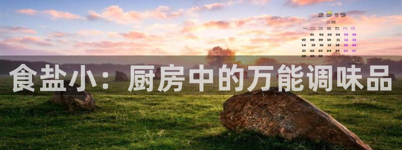 威九国际fX8x