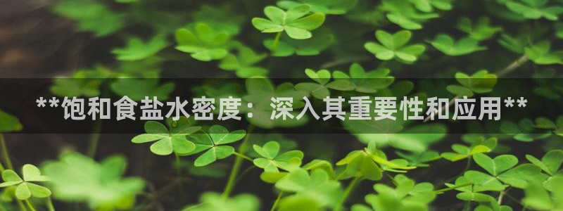 威九国际mm