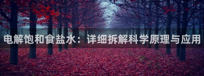 威九国际最受欢迎的功能