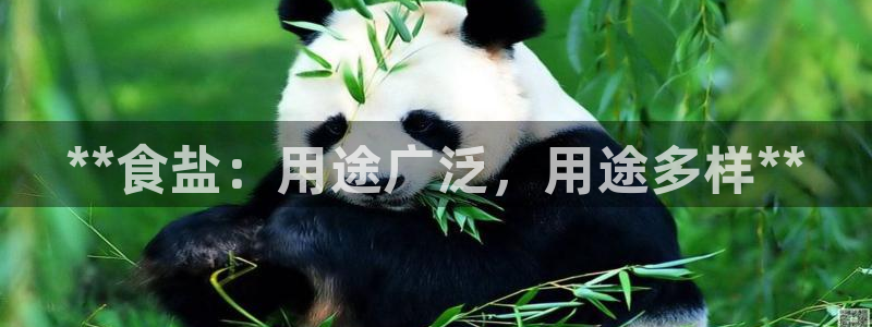 威九国际官网版下载