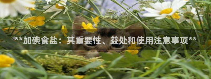 威九国际网站