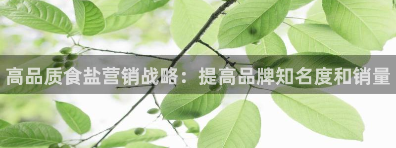 威九国际78m域名