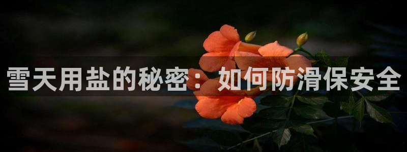 威九国际免费游戏
