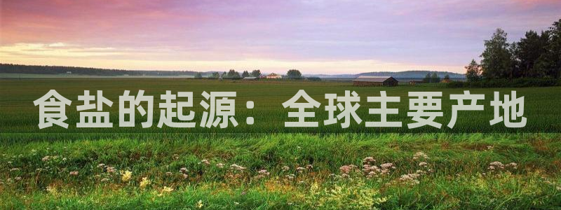 威九国际app网站