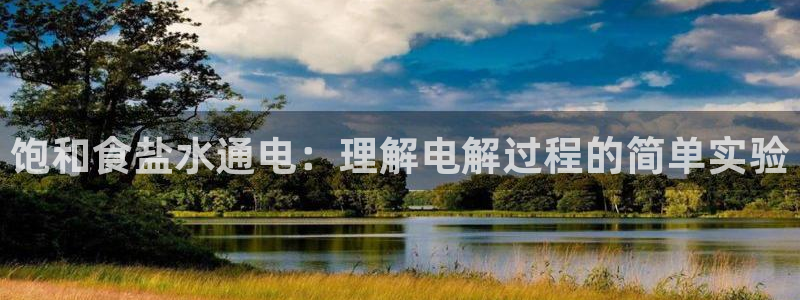 威九国际w98