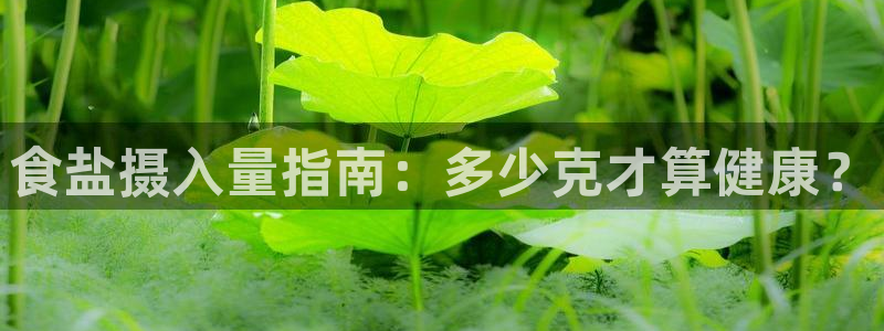 威九国际清砖码头在哪