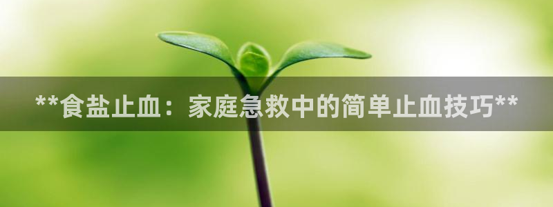 威九国际v8