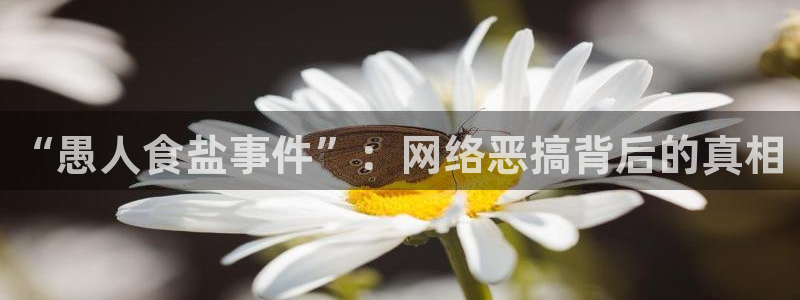 威九国际78mB