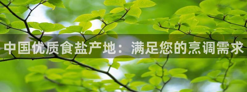 威九国际m78