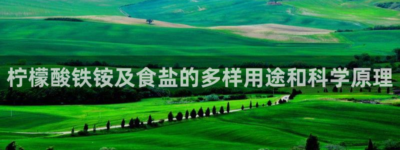 保定威九网络科技有限公司