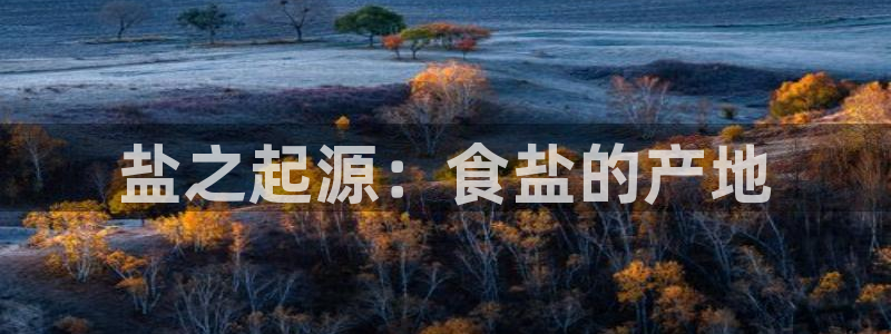 威九国际78mob网页