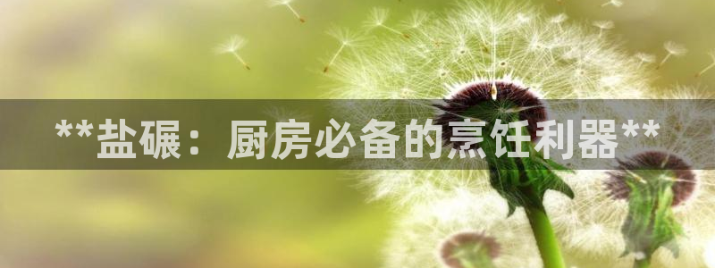 威九国际能提现吗