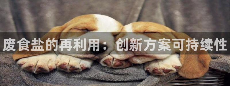 保定威九网络科技有限公司电话