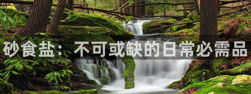 威九国际精选