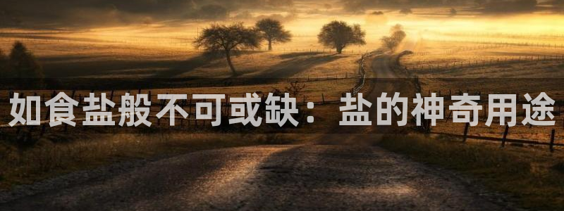 威九国际X8