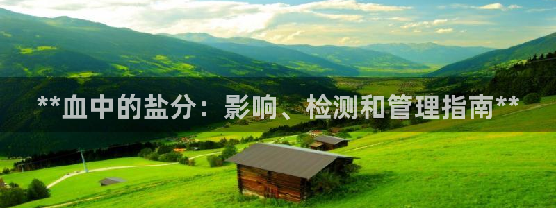 威九国际官方入口官网