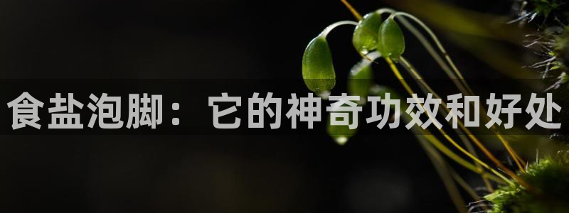 威九国际78m78下载