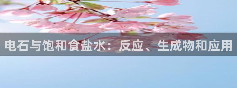 威九国际APP客服