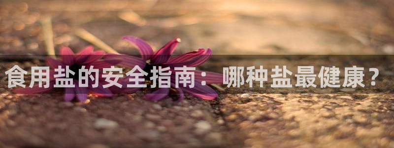 78mapp威九国际媒体央视