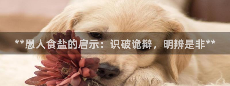 威九国际网站客服电话多少啊