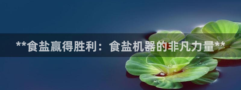 威九国际66在线