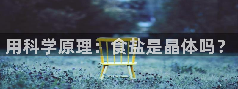 威九国际韩国