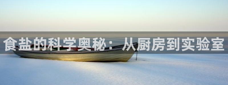 威九国际男主