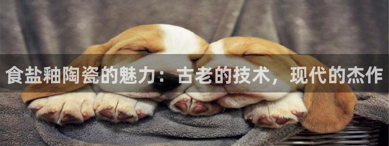 威九国际app