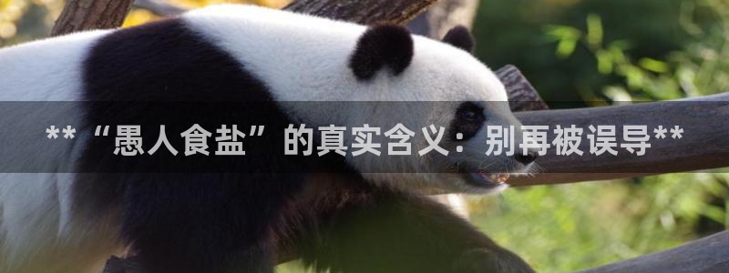 威九国际游戏app网址