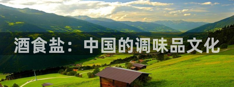 威九国际mm