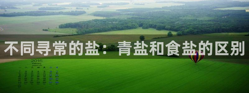 威九国际女演员名单介绍
