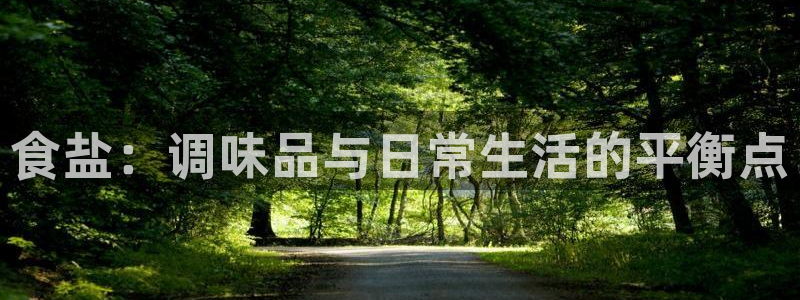 威九国际官网版下载