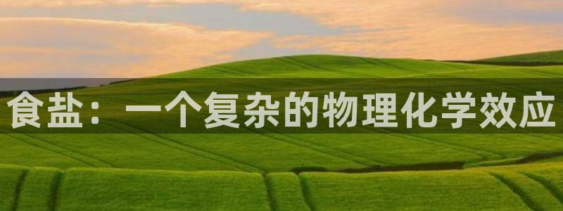 威九国际全国空降