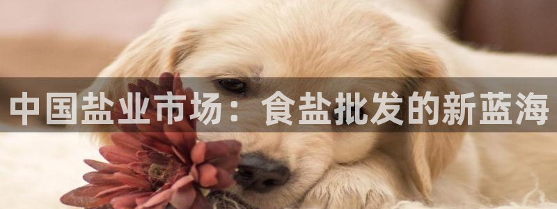 威九国际精彩视频2022年
