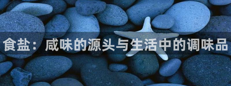 威九国际fX8x