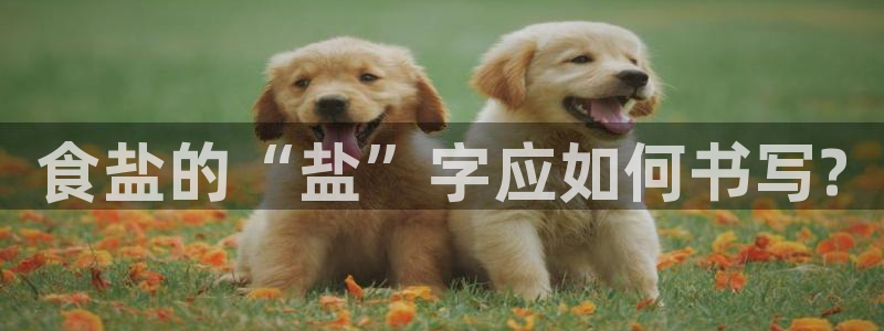 威九国际app