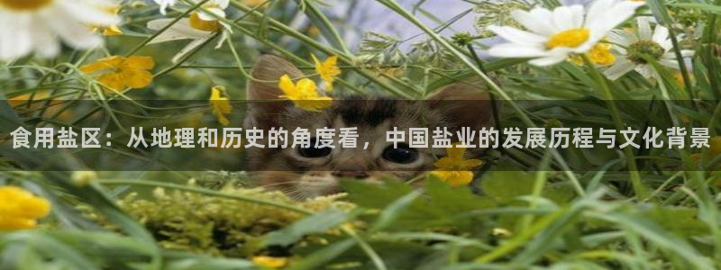威九国际官方网站最新版本更新内容介绍