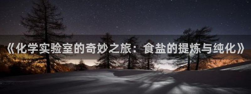 威九国际可以赚到钱