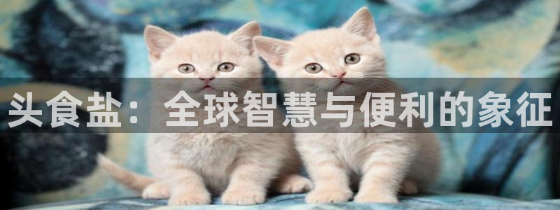威九国际ppt官网